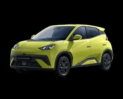 BYD Dolphin Surf